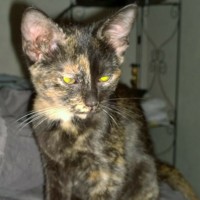 Deep Dive: Epstein Files Expose Origins of Pandemic Finance